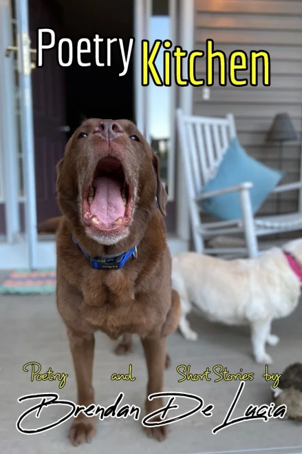 The Poetry Kitchen - 9781006809149