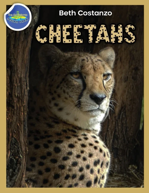 Cheetah Activity Workbook Ages 4-8