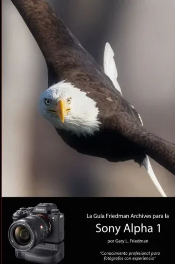 La Guía The Friedman Archives Para La Sony A1: Consejo Profesional Para El Fotógrafo Experimentado (Spanish Edition)