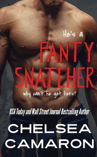 Panty Snatcher