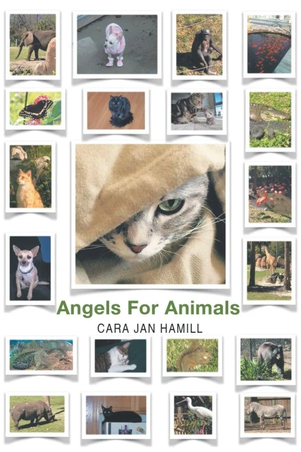 Angels For Animals - 9781635684483