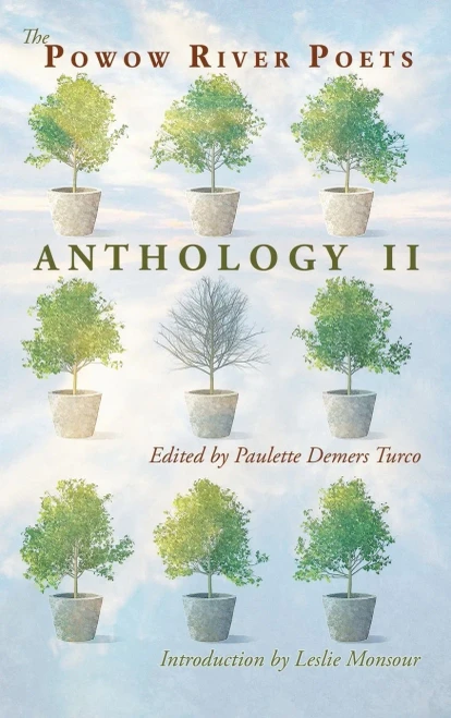 The Powow River Poets Anthology Ii