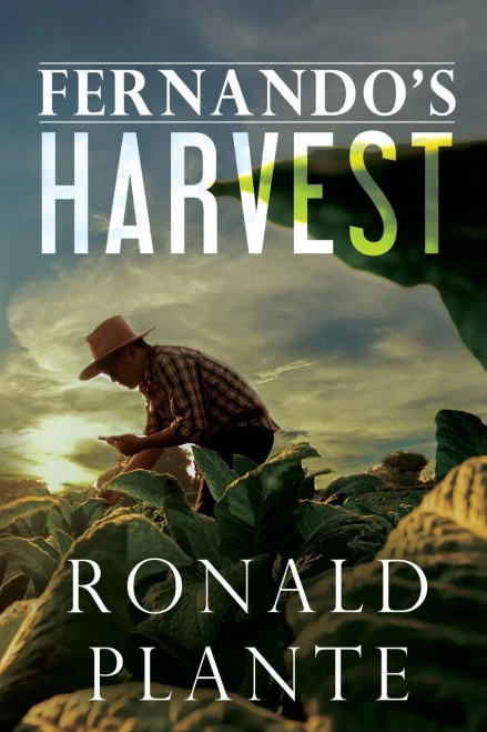 Fernando'S Harvest - 9781800160552