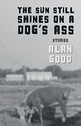The Sun Still Shines On A Dog'S Ass