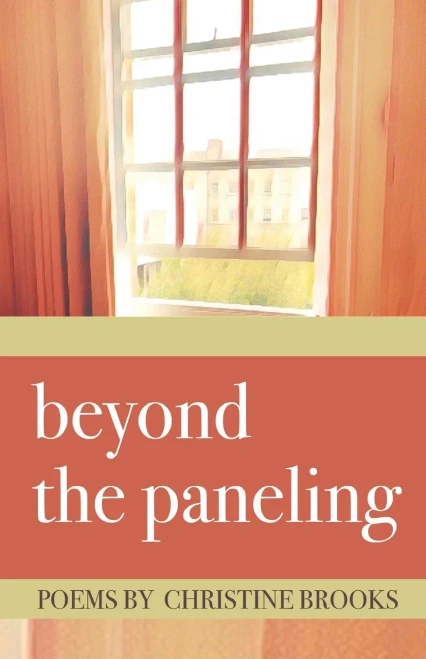 Beyond The Paneling - 9781646624751