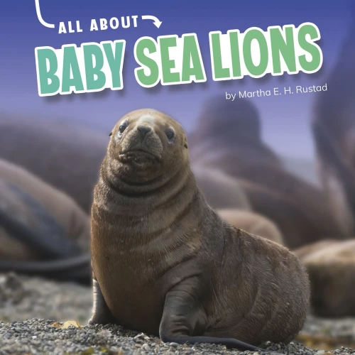 All About Baby Sea Lions (Oh Baby!)