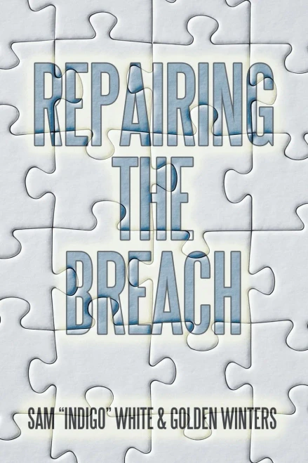 Repairing The Breach - 9781665522014