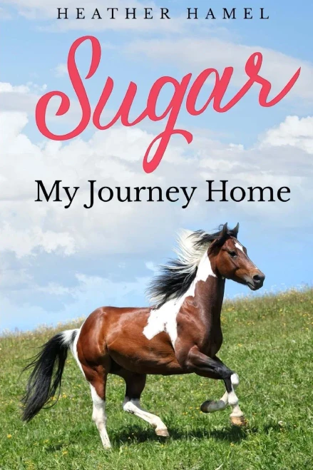 Sugar: My Journey Home