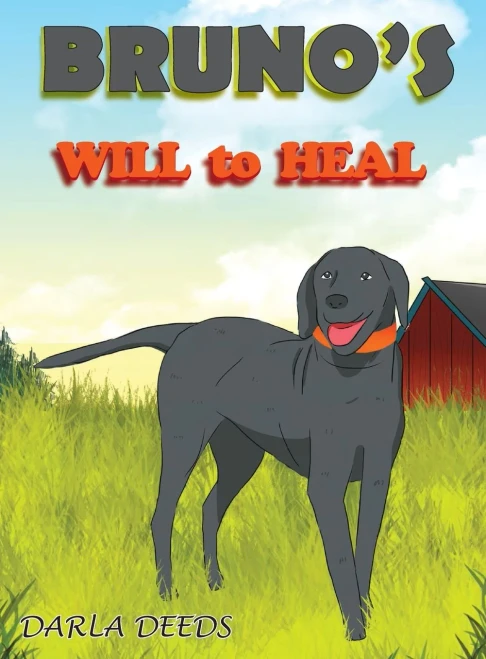 Bruno'S Will To Heal - 9781948928472
