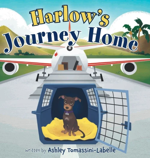 Harlow'S Journey Home - 9781525593895