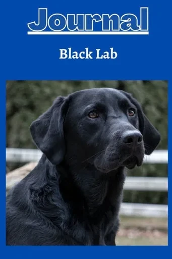 Black Lab Dog Journal Series 1 With A Cobalt Blue Background