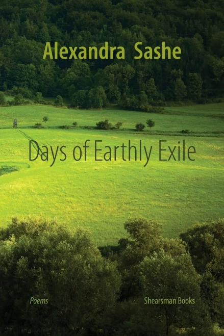 Days Of Earthly Exile - 9781848617711
