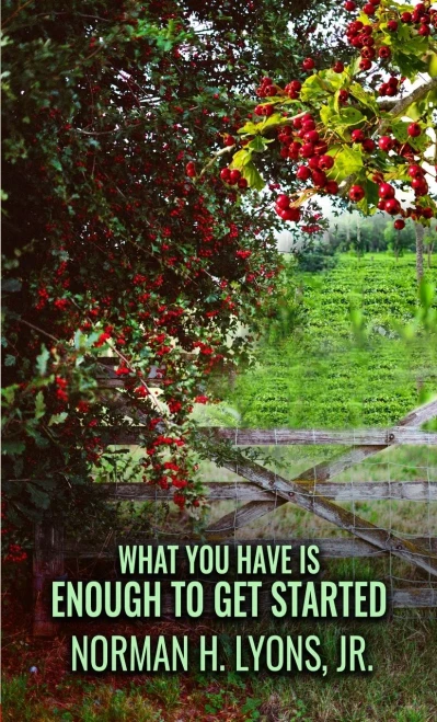 What You Have Is Enough To Get Started