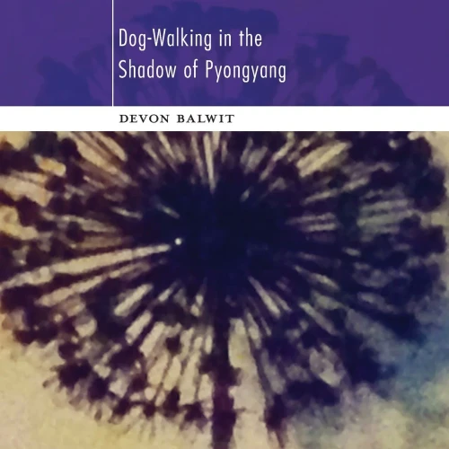 Dog-Walking In The Shadow Of Pyongyang