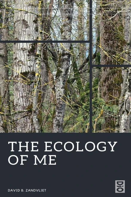 The Ecology Of Me (Critical Pedagogies)