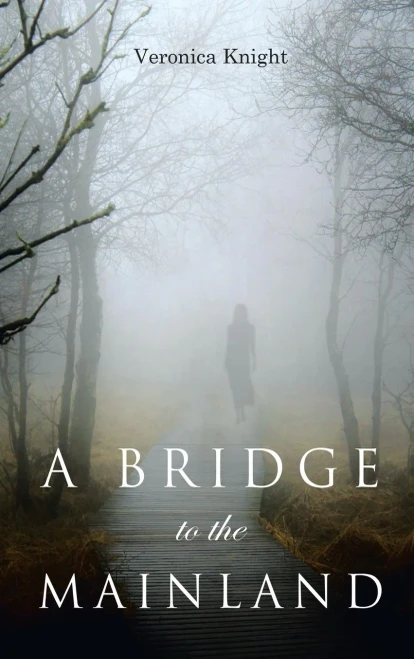 A Bridge To The Mainland - 9781948928960