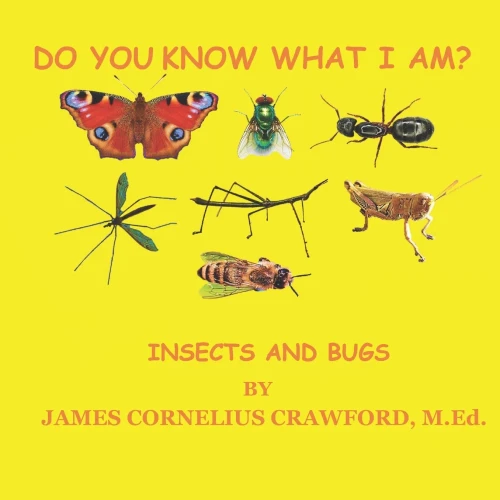 Do You Know What I Am?: Insects And Bugs