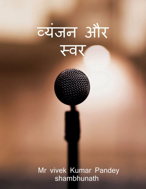 Consonants And Vowels / ?????? ?? ???? (Hindi Edition)