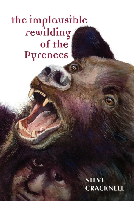 The Implausible Rewilding Of The Pyrenees