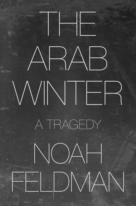 The Arab Winter: A Tragedy - 9780691227931