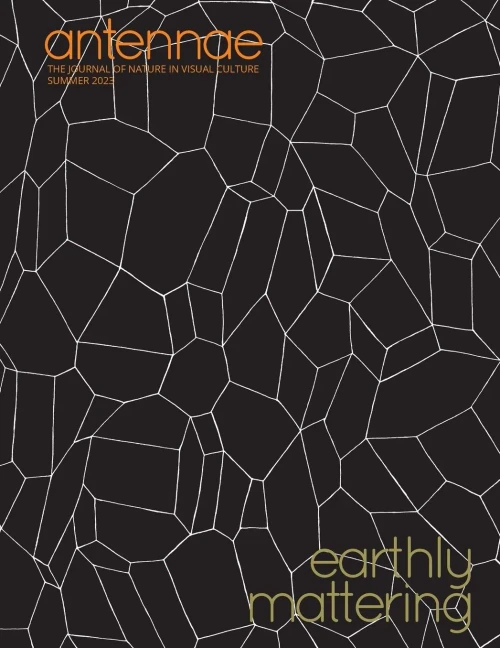 Antennae #61 Earthly Mattering