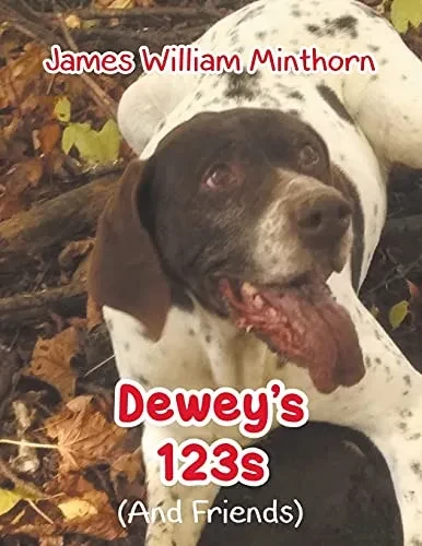Dewey'S 123S: (And Friends) - 9781098064969