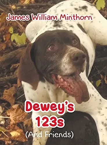 Dewey'S 123S: (And Friends) - 9781098064976