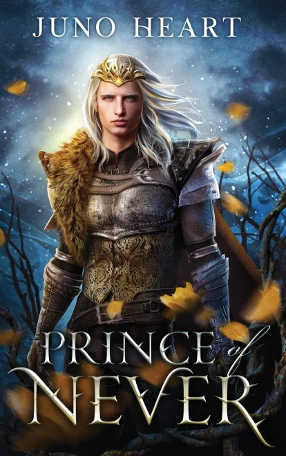 Prince Of Never: A Fae Romance (Black Blood Fae)