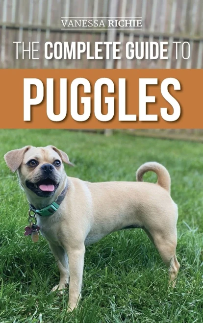 The Complete Guide To Puggles: Preparing For, Selecting, Training, Feeding, Socializing, And Loving Your New Puggle Puppy