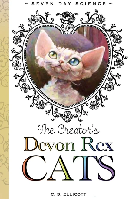 The Creator'S Devon Rex Cats - 9781735634531