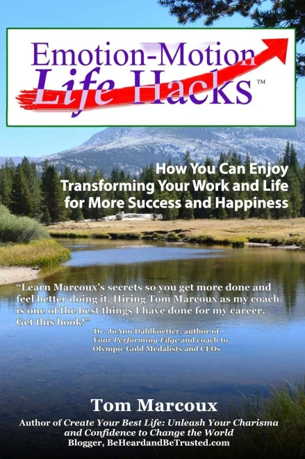 Emotion-Motion Life Hacks: How You Can Enjoy Transforming Your Work And Life For More Success And Happiness