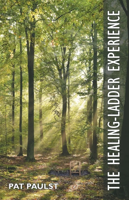 The Healing-Ladder Experience - 9781664232730