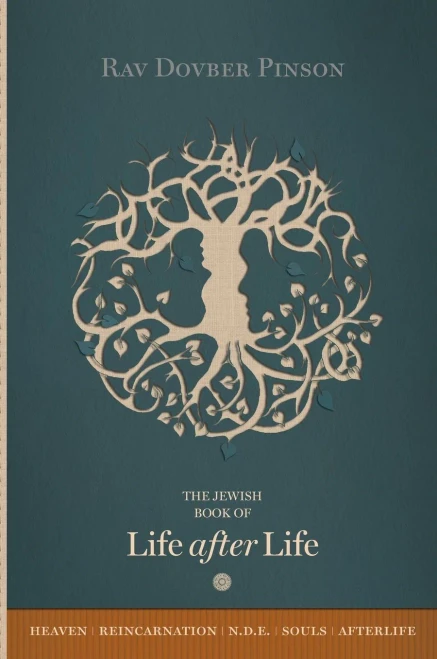 The Book Of Life After Life