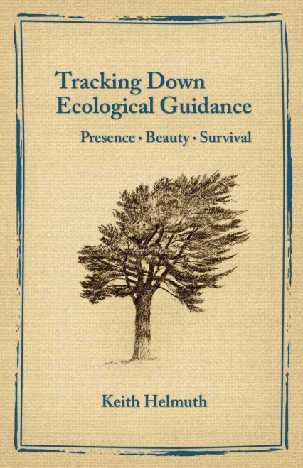 Tracking Down Ecological Guidance: Presence, Beauty, Survival