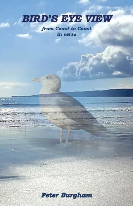 Bird'S Eye View: From Coast To Coast In Verse