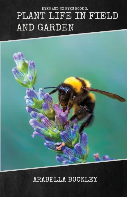 Plant Life In Field And Garden - 9781922619914