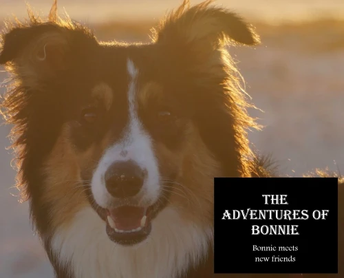 The Adventures Of Bonnie: Bonnie Meets New Friends