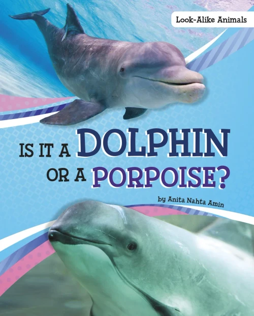 Is It A Dolphin Or A Porpoise? (Look-Alike Animals)