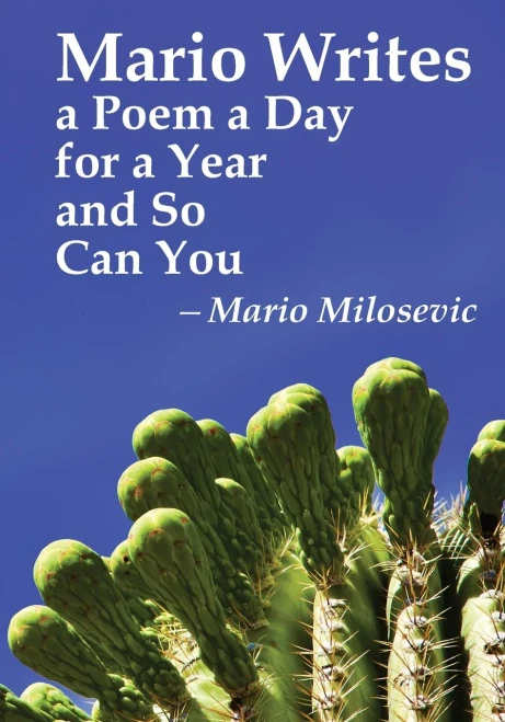 Mario Writes A Poem A Day For A Year And So Can You