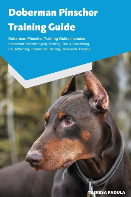 Doberman Pinscher Training Guide Doberman Pinscher Breeding, Puppies, Tricks, Agility Training, Housetraining, Socializing, Obedience Training, Behavioral Training And More