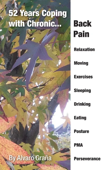 52 Years Coping With Chronic Back Pain - 9781838496753