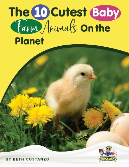 Baby Farm Animals Booklet With Activities For Kids Ages 4-8