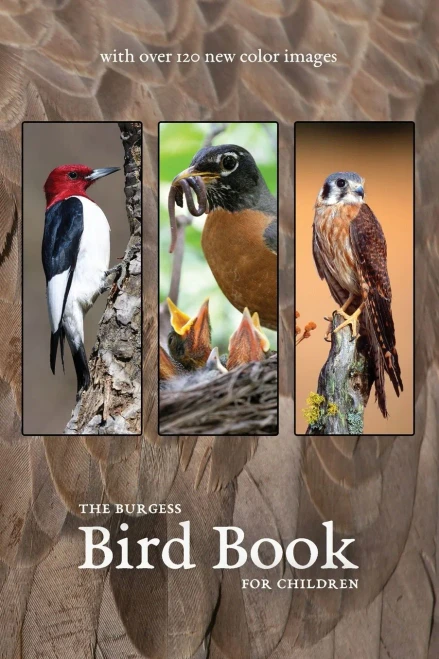 The Burgess Bird Book With New Color Images - 9781922634290
