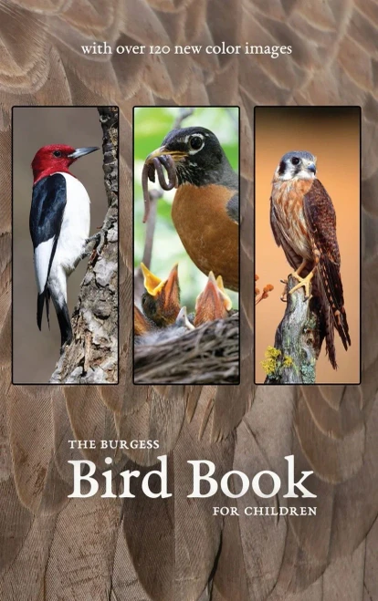 The Burgess Bird Book With New Color Images - 9781922634306