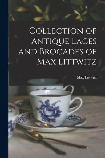 Collection Of Antique Laces And Brocades Of Max Littwitz