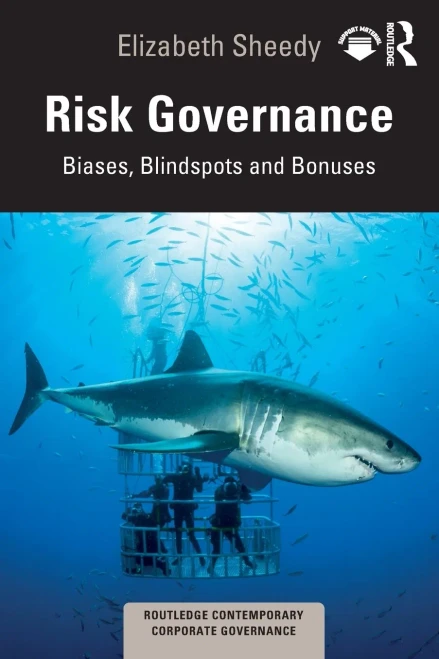 Risk Governance (Routledge Contemporary Corporate Governance)