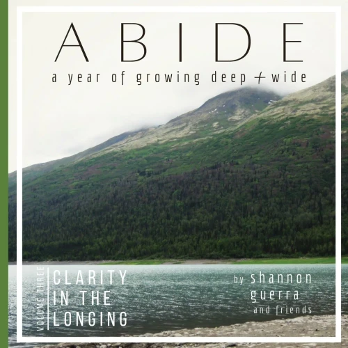 Clarity In The Longing: A Year Of Growing Deep And Wide (Abide)