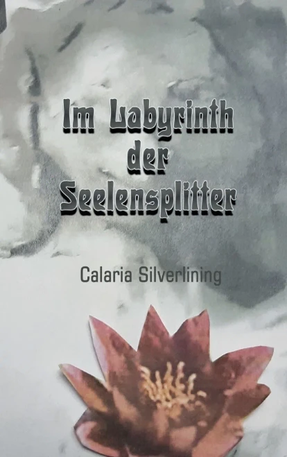 Im Labyrinth Der Seelensplitter (German Edition) - 9783347227460