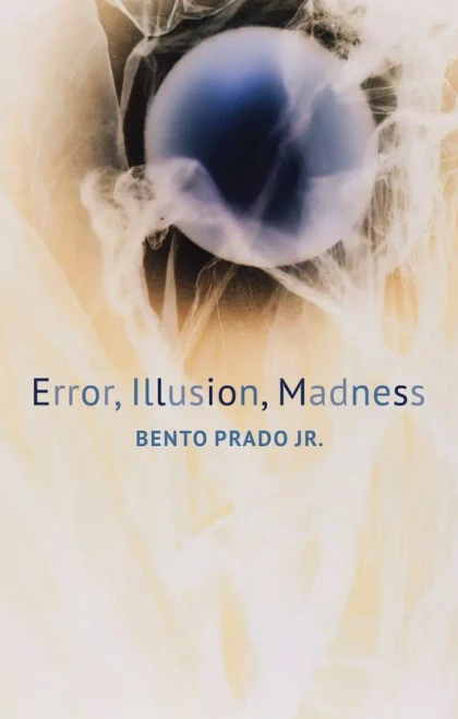 Error, Illusion, Madness (Critical South)