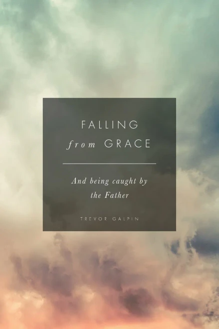 Falling From Grace: And Being Caught By The Father - 9781838057060